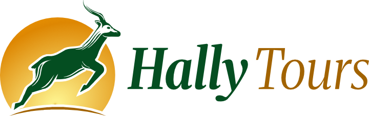 Hally Tours & Safari