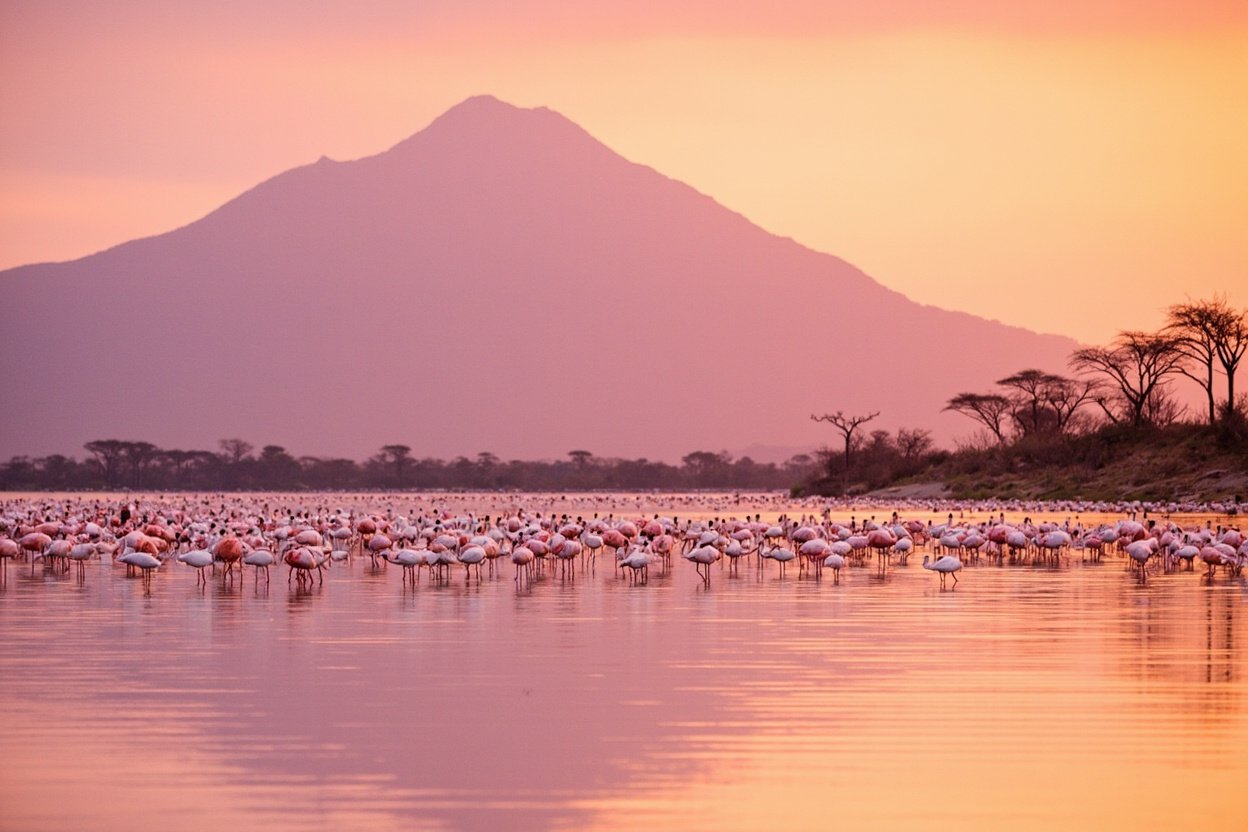 Arusha National Park — Day Safari