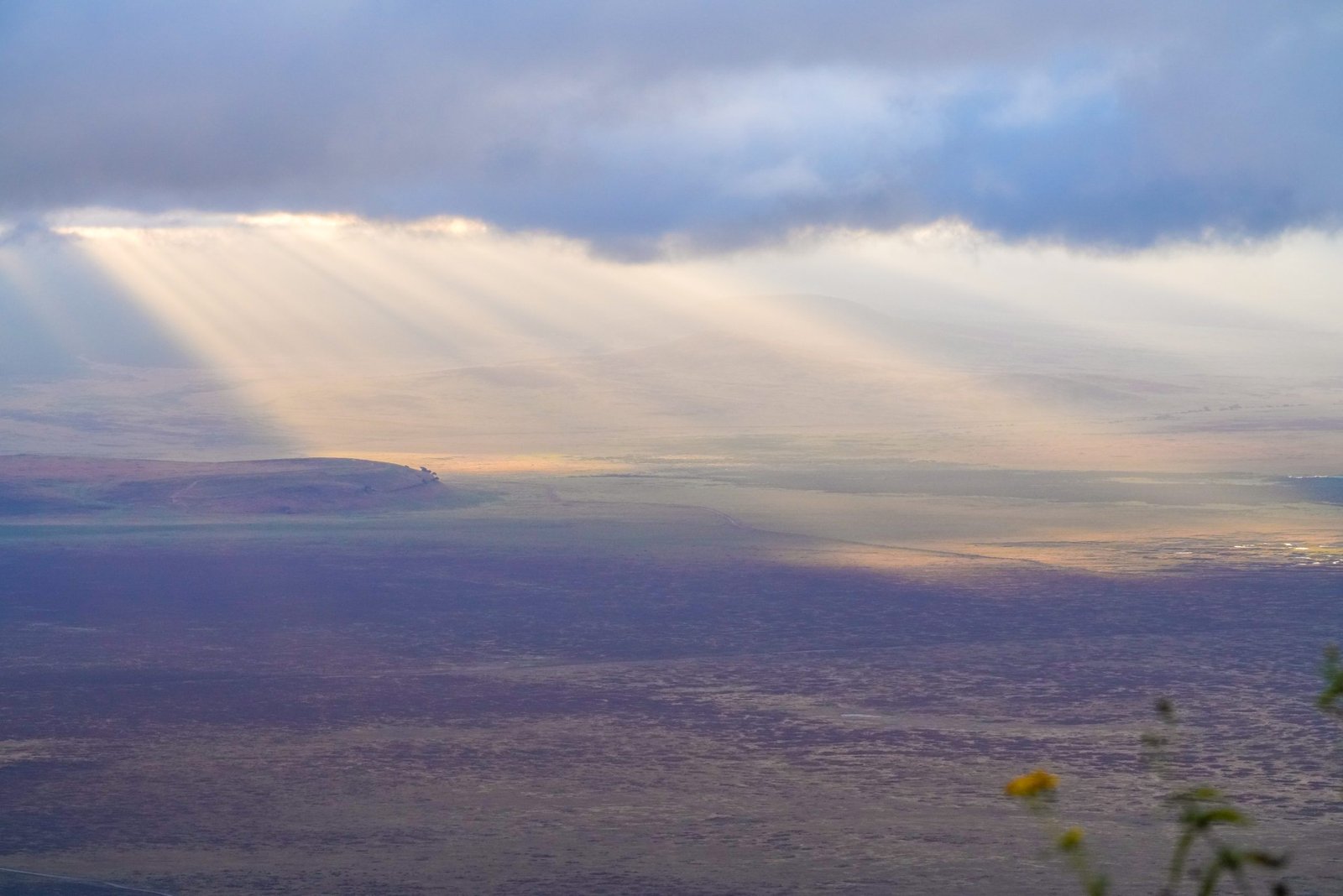 Ngorongoro Crater Day Trip