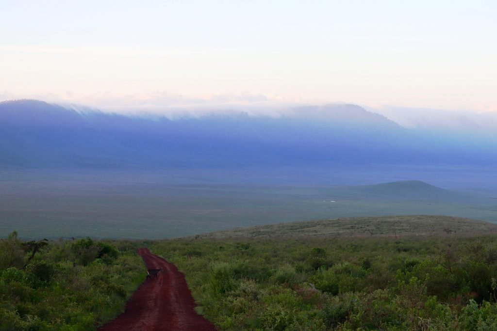 Morning fog over the Ngorongoro Crater rim with a red descending track, Tanzania.