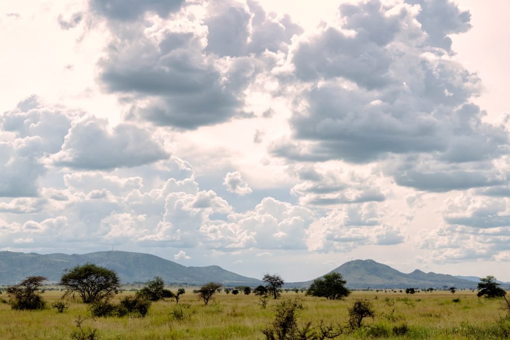 Tall cumulus clouds over the southern Serengeti plains, Tanzania.