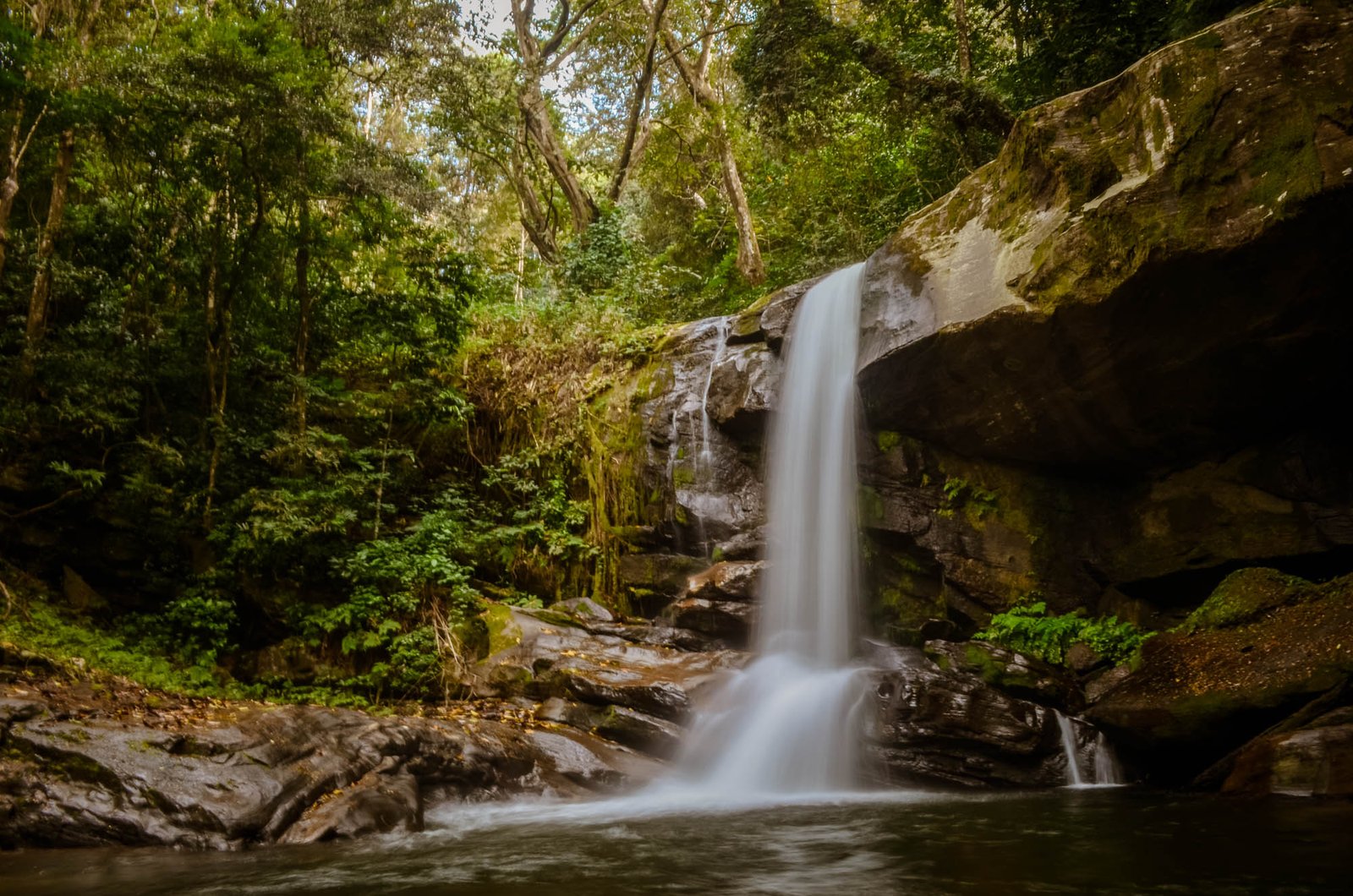 Udzungwa Mountains — 2-Day Hiking Safari